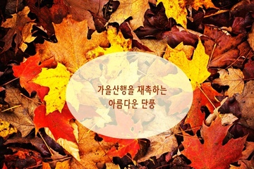 가을철 등산 시 준비물과 주의사항